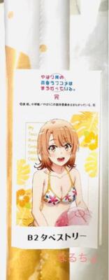 タペストリー ⑪ My Teen Romantic Comedy SNAFU B2 Tapestry Night Pool Iroha