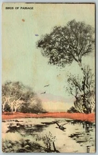 Birds of Passage, Orsoni Watercolor - Postcard