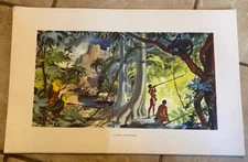 Jungle Interlude Titled Artwork Unframed