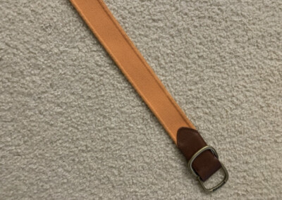 Gant Orange D-Ring Belt