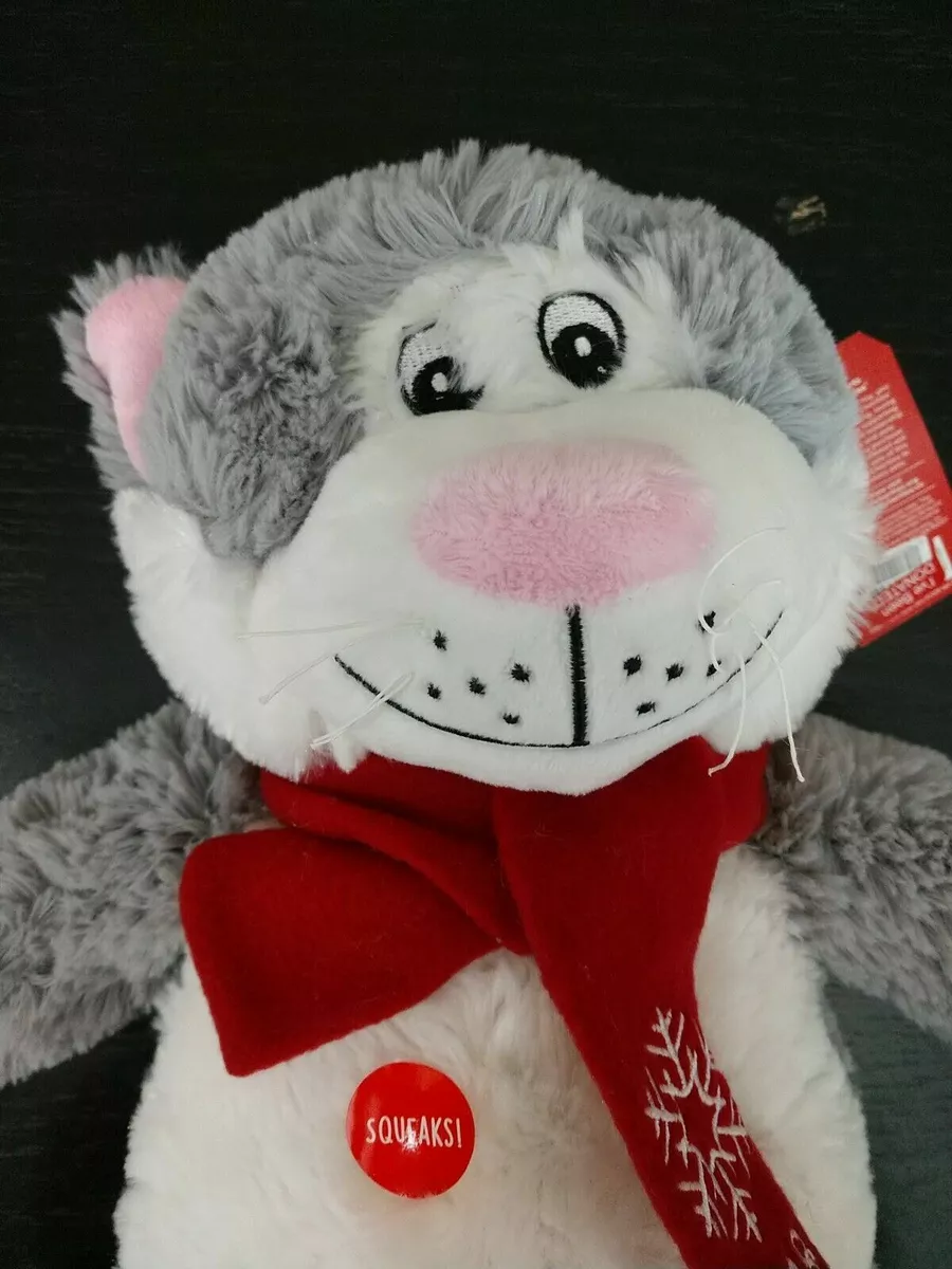 Petsmart cat cheap stuff