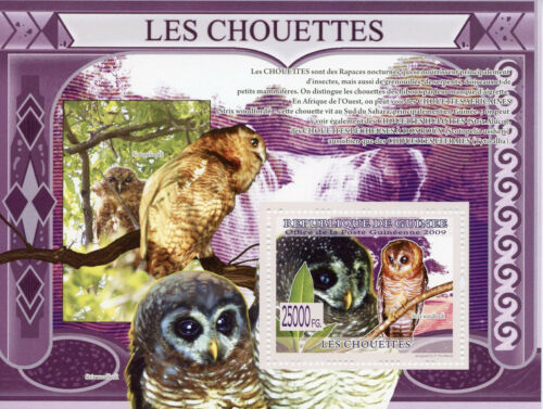 Guinea Birds on Stamps 2009 MNH Owls African Wood Owl Fauna 1v S/S - Afbeelding 1 van 1
