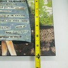 Bild 7 von 8