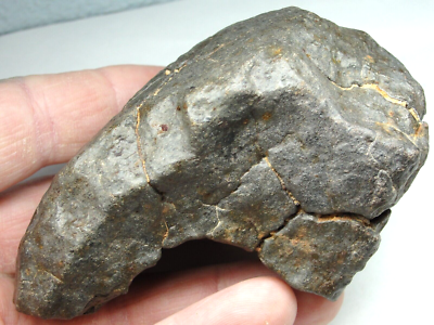 METEORページ Meteorite - Oriented - Top Quality - Rare Orientation - SLS-1962