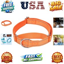 Martingale Dog Collar, Reflective Nylon Padded Dog Training Collars for Mediu...