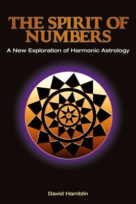 The Spirit of Numbers David Hamblin Taschenbuch Kartoniert / Broschiert Englisch