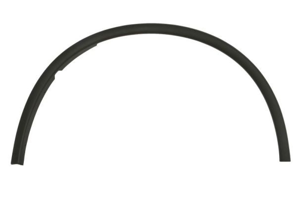 Left Front BLIC 5703-08-0926371P Trim/Protection Strip, wing for DODGE