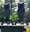 Owl Andirons cast iron with glass eyes antique pair — photo 1