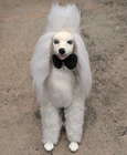 Vintage 1984 Prince the Poodle Barbie Dog Mattel Action Figure Playset Floral
