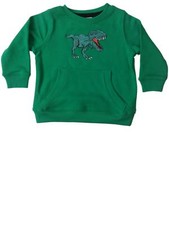 Infant Boys Green Tyrannosaurus Rex Dinosaur Pull Over Sweatshirt