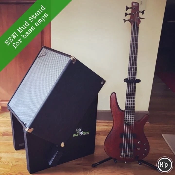 Best amp for sale guitar and bass