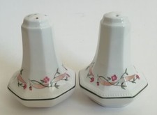 Johnson Brothers Eternal Beau Salt Pot and Pepper Pot