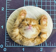 Ginger Cat In Zen Mode - Vinyl Decal Sticker Bomb Oval Yoga Humor Meditation