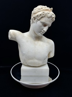 Classical Greco-Roman Male Bust Plaster Sculpture on Marble Base 9.5  Museum Rep
