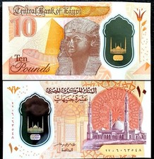 New Egypt Pounds - (25) x 10 EGP Banknotes in New Condition - Egyptian Currency