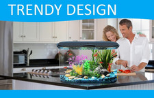 5-Gallon Aquarium Kit with LED Lighting and Power Filter, Ideal for a Variety...