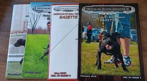 2019 American Pit Bull Terrier Gazettes