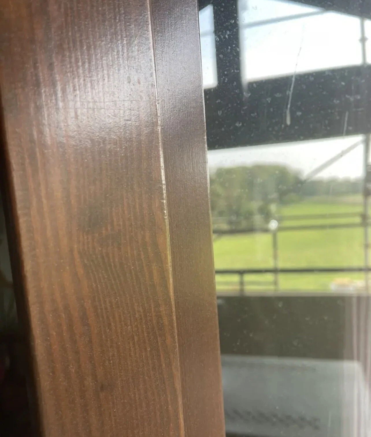 Foto 5 di 5