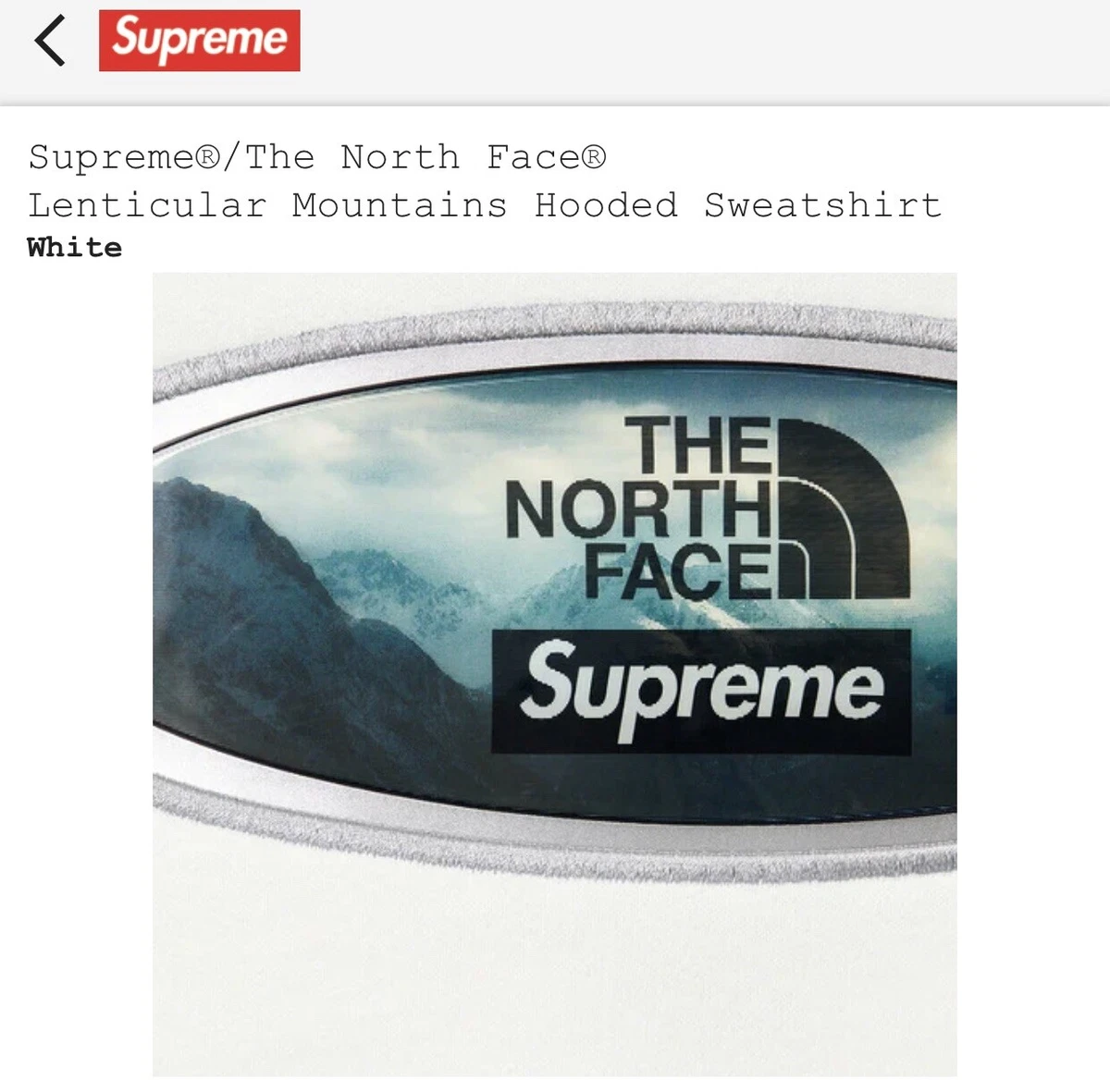 Supreme®/The North Face® Lenticular Mou 売って買う メンズ