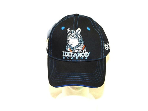 Alaska Iditarod Dog Sled Race 2018 