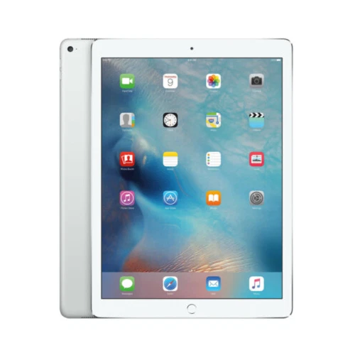 Apple iPad Pro (1st Generation) 11 in - 12.9 in Screen 256 GB