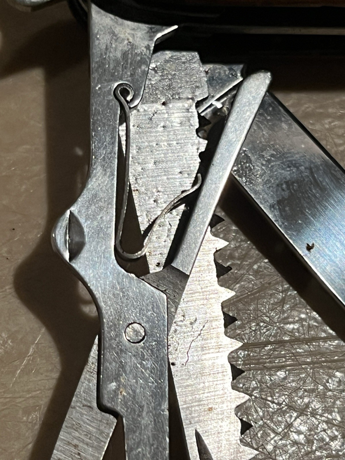 Picture 6 of 19