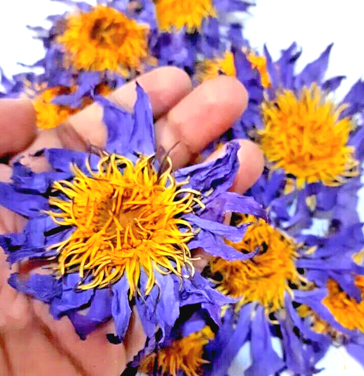 Blue Lotus Flowers Organic Natural Hand Picked Dried Flowers For Stress Relief