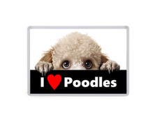 I Love Poodles - Dogs - Fridge Magnet - Large - Pets Present Gift