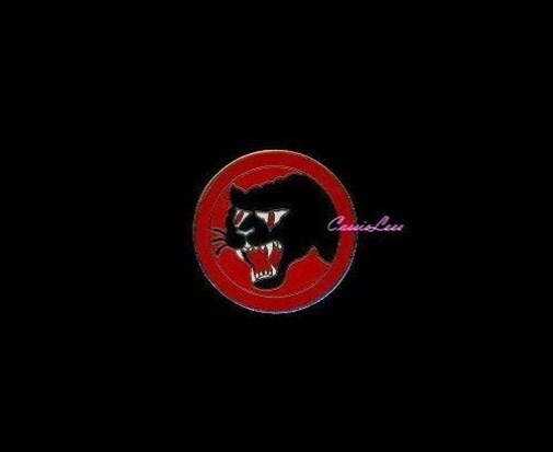USA 66th Inf. Div. + a custom promo pin