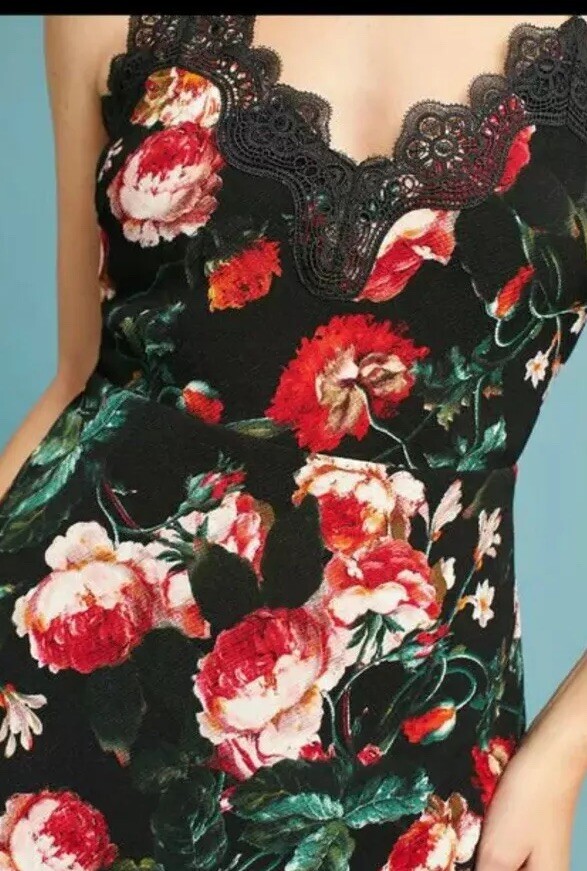 Anthropologie foxie dox autumnal Rose floral Lace Midi Dress S