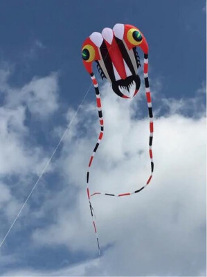 Huge 3D 16square 1 Line Stunt Parafoil Trilobites POWER Sport Kite outdoor toys