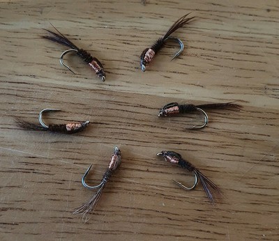 M2M Sawyer/'s Pheasant Tail Nymph size 12 fishing flies 12 One dozen