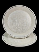 2 Temper Ware by Lenox Silhouette 10 1/4" Dinner Plates NO Cracks Crazing Chips