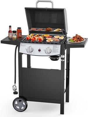 Electactic 2-Burner Propane Gas BBQ Grill,20,000 BTU Stainless Steel Grill w/Sid