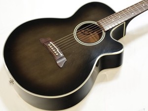 Ctp 3 Takamine | eBay