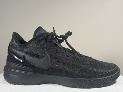 Nike Zoom LeBron NXXT Gen TB Promo Triple Black FN7092-003 Men's 16
