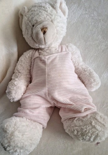 2016 Birchwood Trading Co Applesauce Plush 18 Inch Teddy Bear - Picture 1 of 8