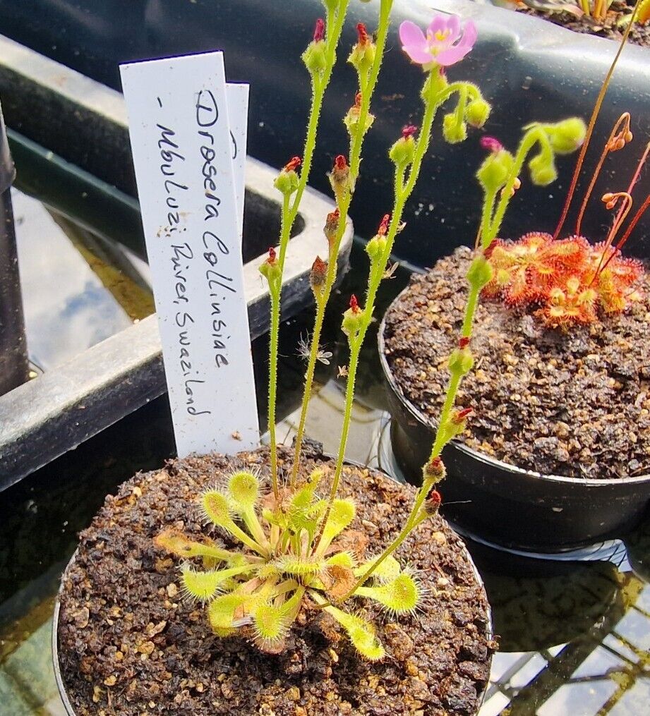Foto 1 di 2
