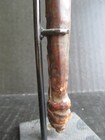 Antique D. R. Congo Whistle — photo 8