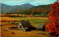 Postcard Blue Ridge North East Broiler Chicken Belt Farms Georgia B189