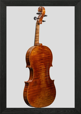 Die Viola gerahmtes Wandbild Poster Leinwanddruck Bild