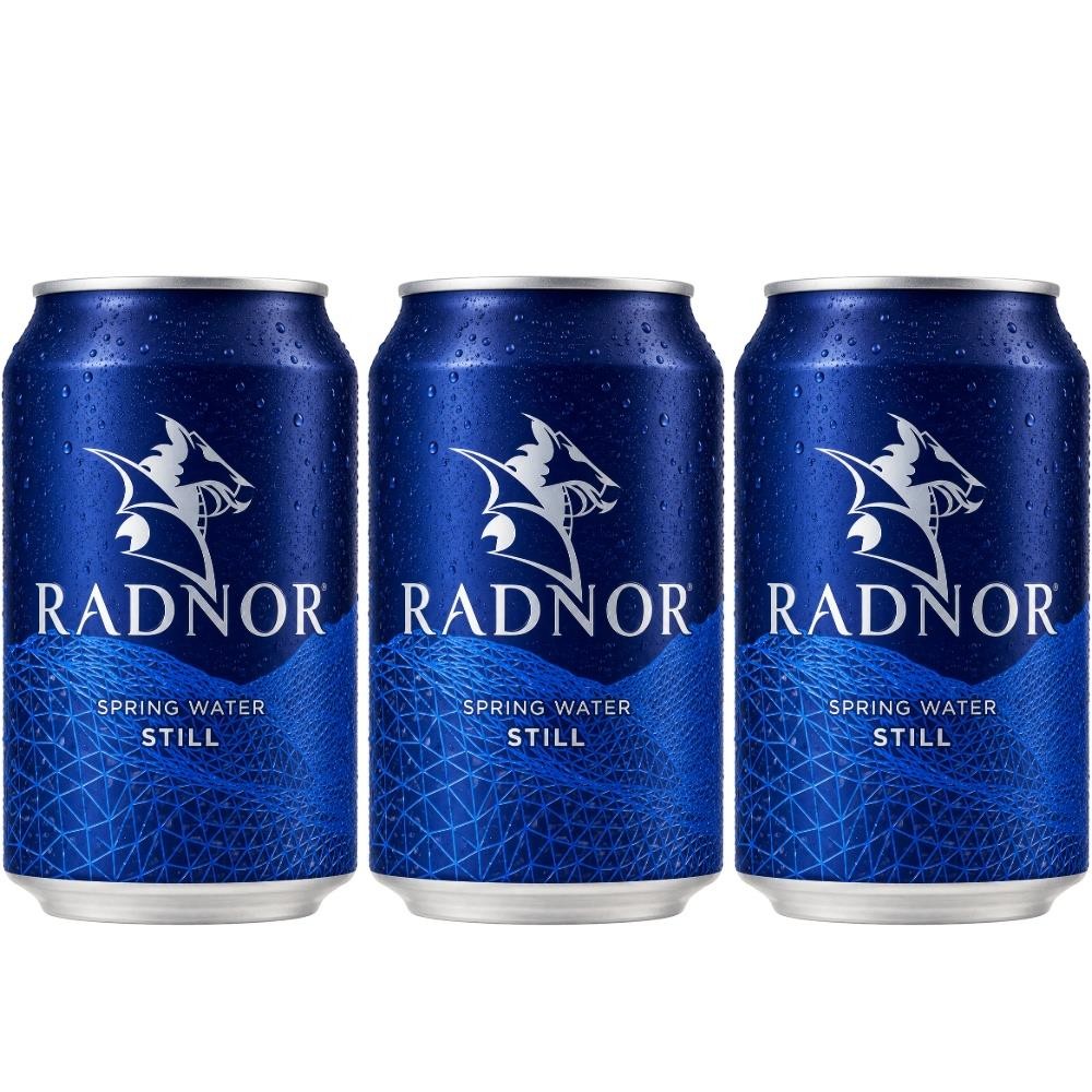 Radnor Hills Radnor Spring Water Still 330Ml Can (Pack Of 24) - Image 3