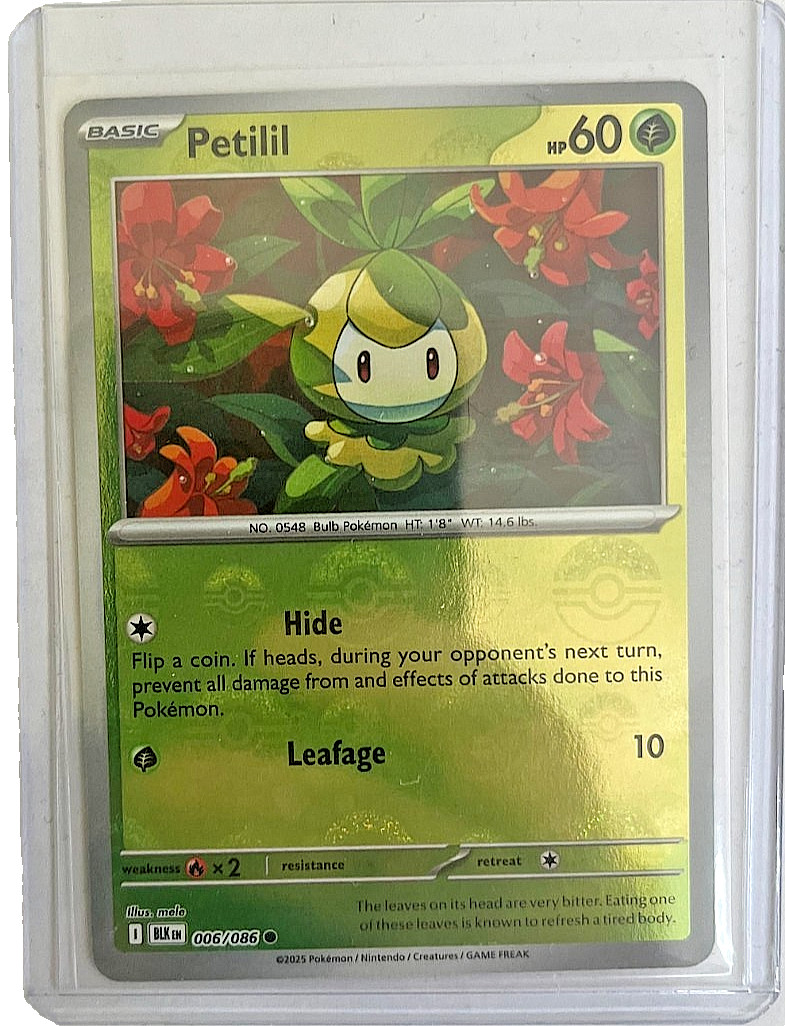 Pokemon TCG Petilil (Master Ball Pattern) 006/086 Sv: Black Bolt Holo NM/MINT