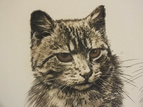 Danet - Eau forte ou Lithographie signée - Zouzou et Nono Chats - Imagen 4 de 4