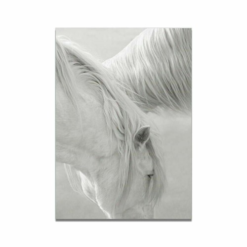 Animal White Horse Canvas Art Print Poster Living Room Wall Picture Modern Decor - Picture 13 of 17