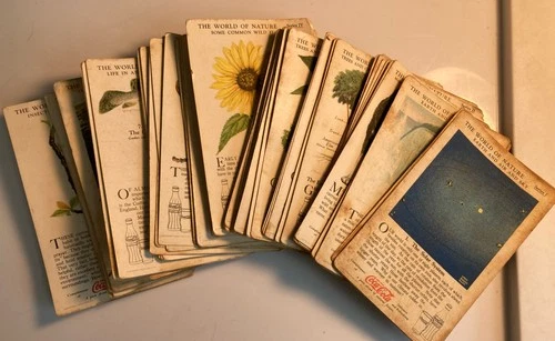 1930’s Coca-Cola Vintage “The World Of Nature” Collectible Cards/Lot Of 64 Cards