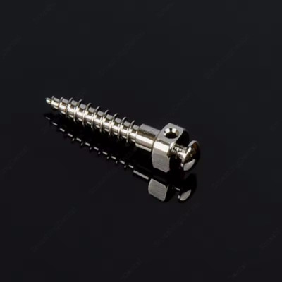 Dental Orthodontic Mini Implant Micro Screws Titanium TC4 Screw TAS Anchorage