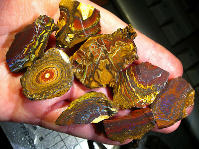 705 cts Australien Matrix Koroit Opal Boulder Rough Roh Opale TOP Vorschau VIDEO