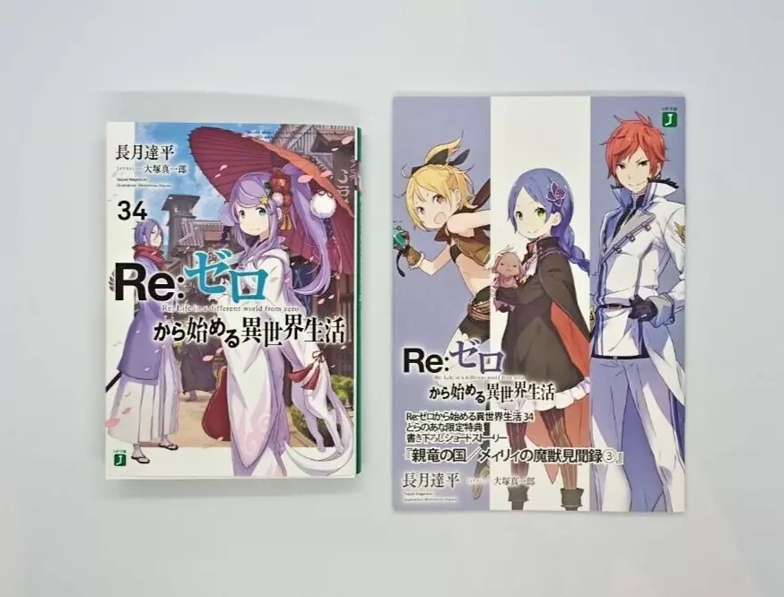 Re:Zero Light Novel Volume 3  Anime, Anime images, Japanese anime