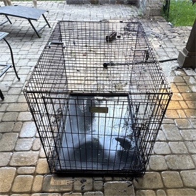 MidWest Homes for Pets iCrate 42 in Folding Double Door Steel Dog Crate w/ Tray